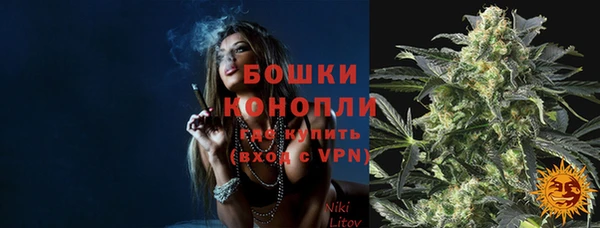 стафф Касимов