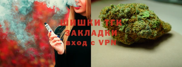 стафф Касимов