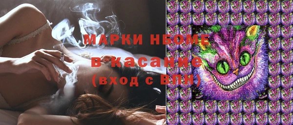 стафф Касимов
