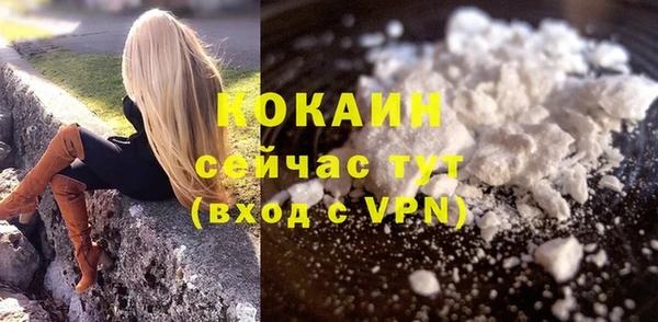 стафф Касимов