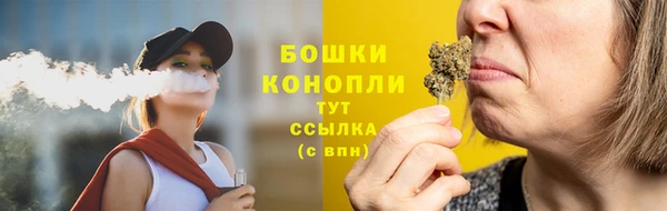 стафф Касимов