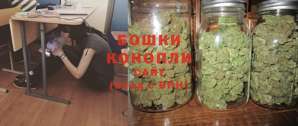 крисы Киренск