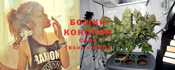 гидропоника Карпинск