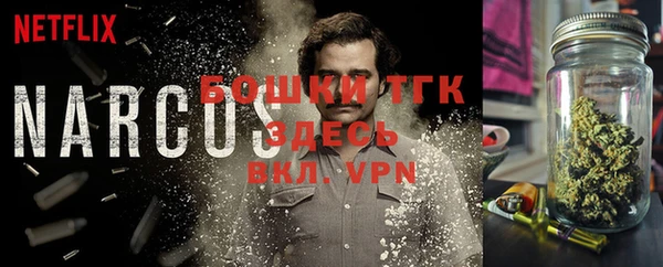 стафф Касимов