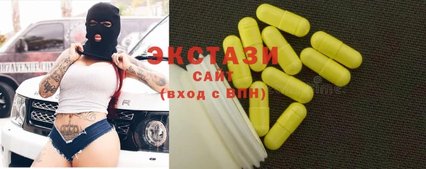 стафф Касимов