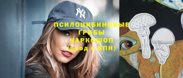 гидропоника Карпинск